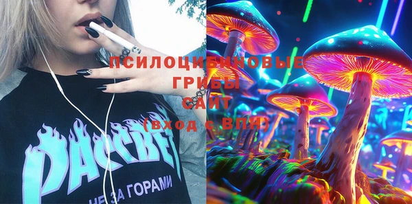 молекула духа Алексеевка