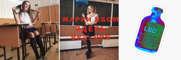 индика Абинск