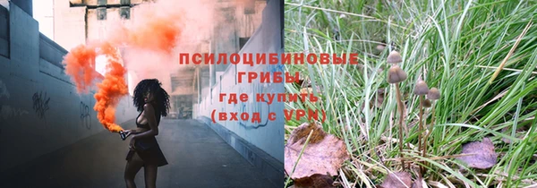 соль ск Алексин