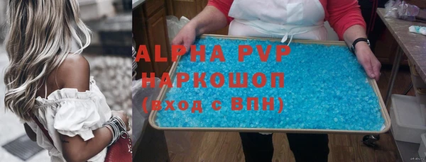 индика Абинск