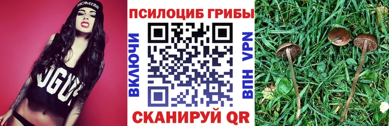 гидра как войти  Иркутск  Псилоцибиновые грибы ЛСД 