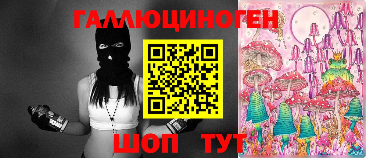 Иркутск  Псилоцибиновые грибы Magic Shrooms  Вход с VPN  Псилоцибиновые грибы Psilocybe 