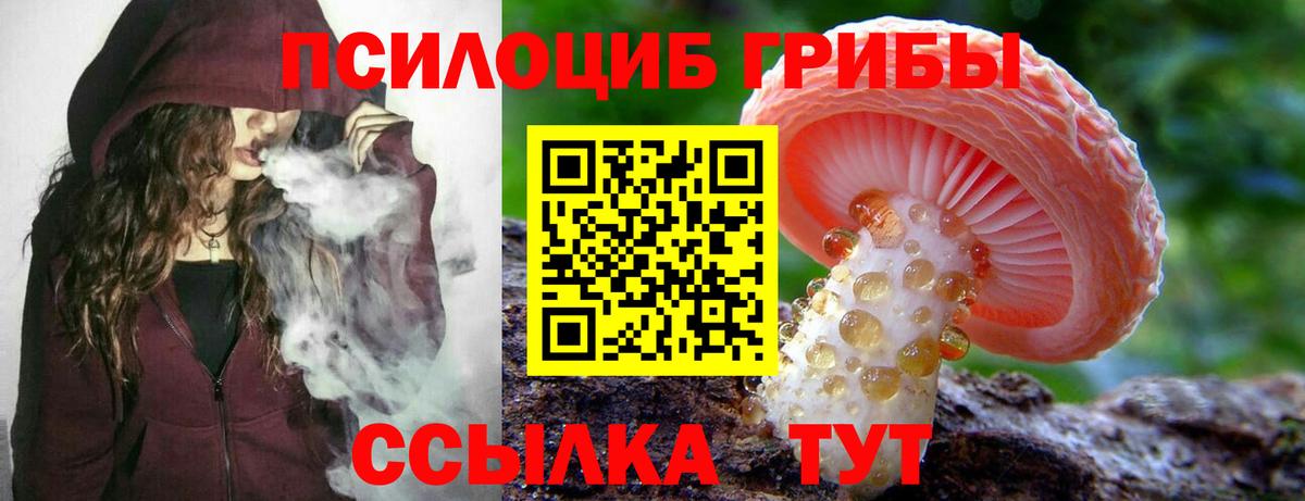Псилоцибиновые грибы мицелий Иркутск